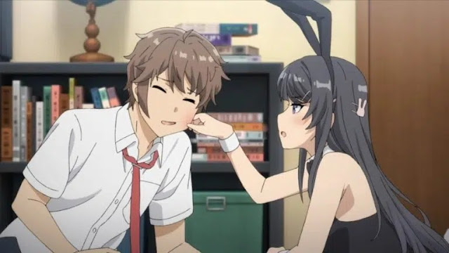 Complete Guide to Watching Anime Rascal Does Not Dream the Right Way